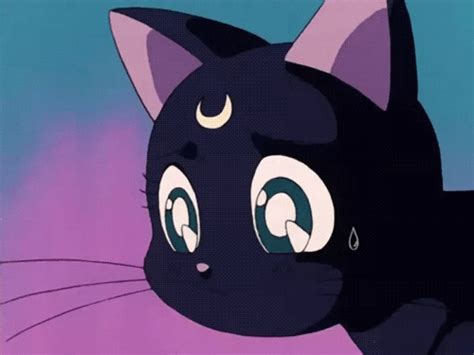 luna gif|Sailor Moon Luna GIFs .